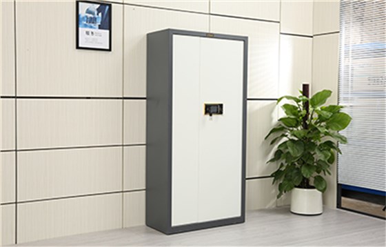 WM-BM02双门保密柜