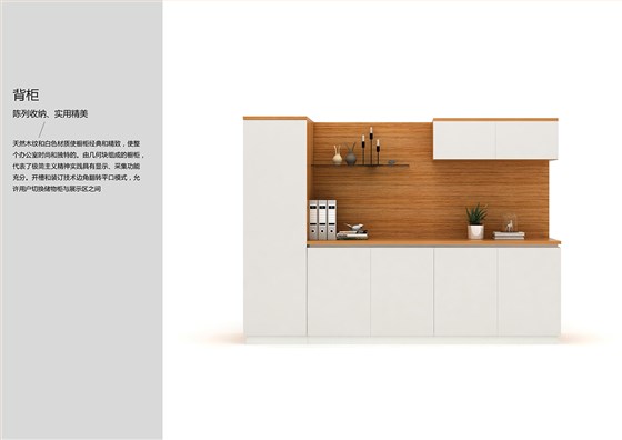 柏斯产品手册_07 拷贝